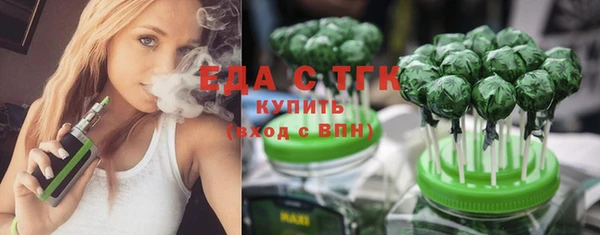 хмурый Арсеньев