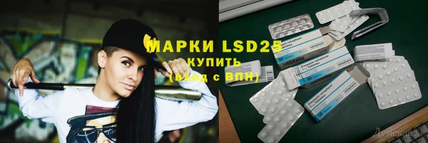 хмурый Арсеньев