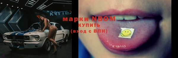 хмурый Арсеньев
