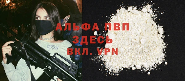 хмурый Арсеньев