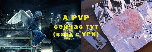 хмурый Арсеньев