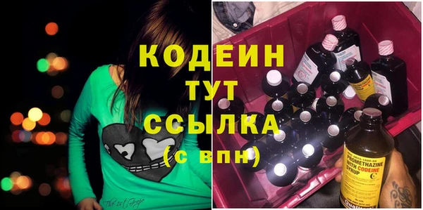 хмурый Арсеньев