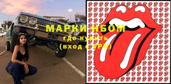 хмурый Арсеньев