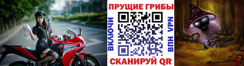 мега вход  Заозёрск  площадка Telegram  Галлюциногенные грибы мицелий 